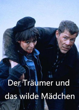 神秘的芯片(国语版)