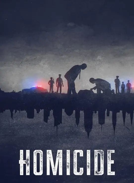 凶杀重案实录：纽约 第二季